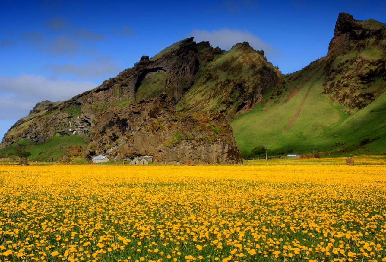 Cozy Cottage By Stay Iceland Hvolsvollur Room photo